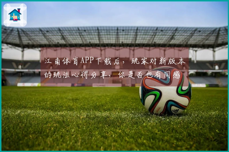 江南体育APP下载后，玩家对新版本的玩法心得分享，你是否也有同感？