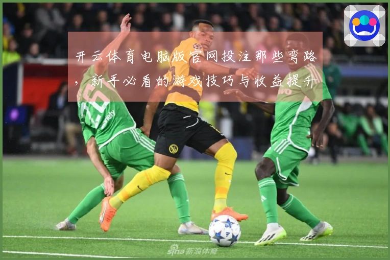 开云体育电脑版官网投注那些弯路，新手必看的游戏技巧与收益提升攻略