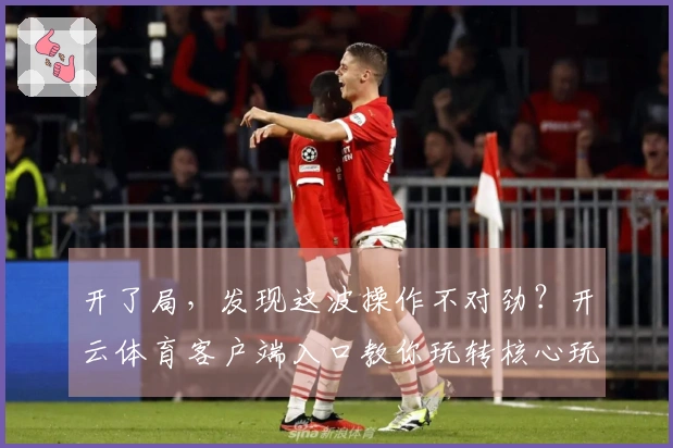 开了局，发现这波操作不对劲？开云体育客户端入口教你玩转核心玩法，收益翻倍！